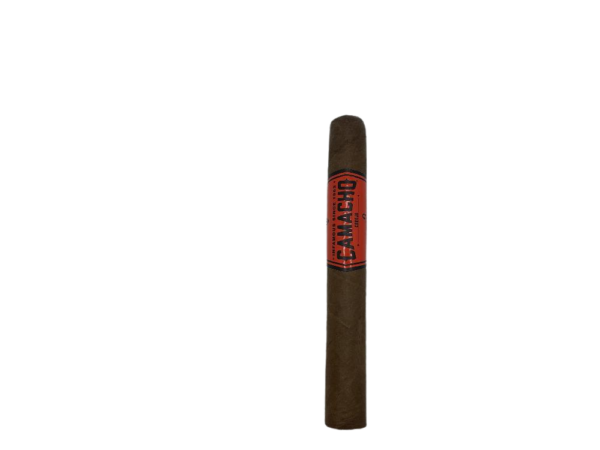 Corojo Robusto 